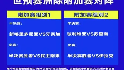 图赫尔英格兰首秀阵型预测：4231、3421或433或为首选布局